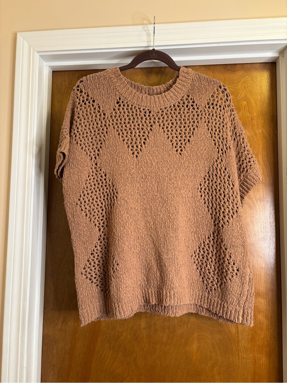 Daytrip Open-Knit Short Sleeve Sweater in Tan
